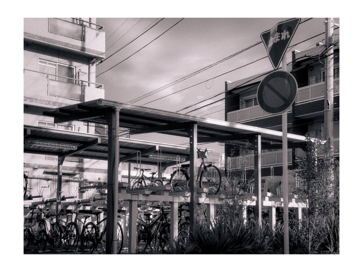 ntai100tf's tweet photo. 🚲🚲🚲 https://t.co/Ei4F7Mh38F