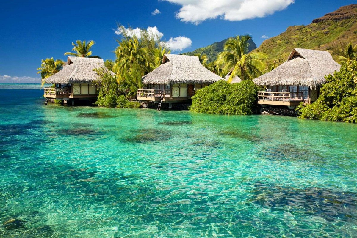 awanderertrip's tweet photo. Landscape: Phu Quoc  Vietnam
Phu Quoc is a destination that captivates the senses and leaves a lasting impression. Its natural beauty, warm hospitality, and diverse experiences make it a truly enchanting getaway.
------------------- https://t.co/Cj8YiZsiqv