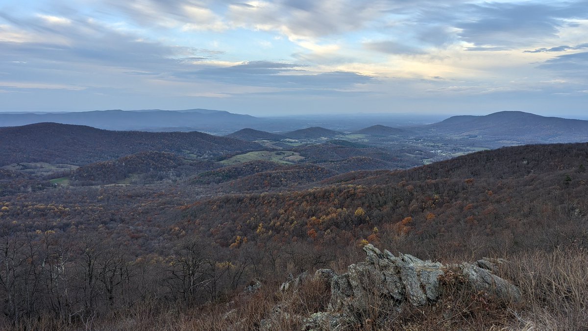 mtnspire's tweet image. ... a quick ramble in the forest today. Support your #nationparks. Get out and stay out!