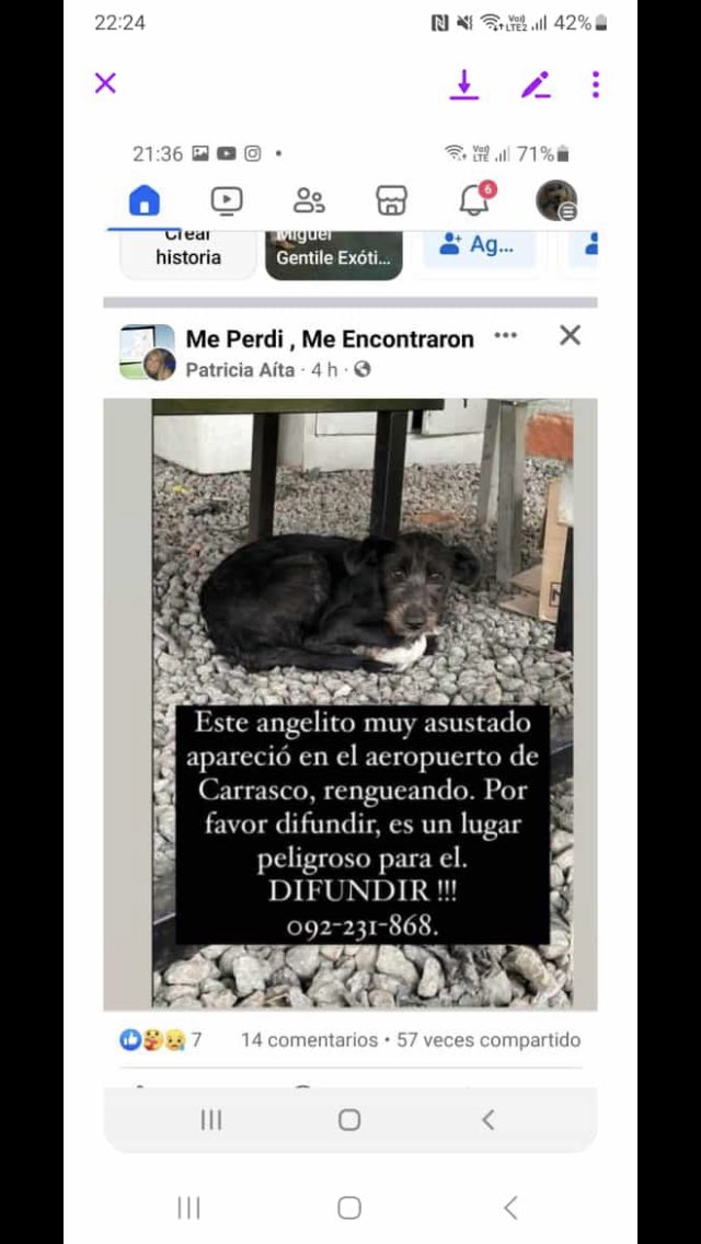 Urgente Uruguayos difundan