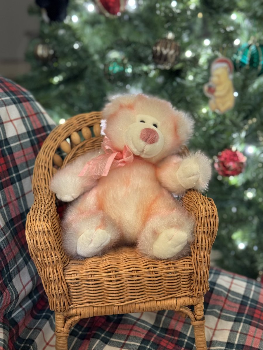 Moving the shop re-opening back one more day as I am really very tired but want to make sure everyone is looking their best to be adopted to their new families! We have been setting up a little photo area 🎄