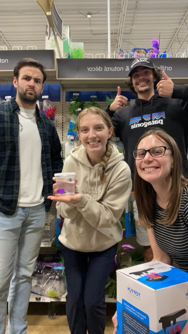 The Anllo lab has a new member. Meet Dapi, the betta!