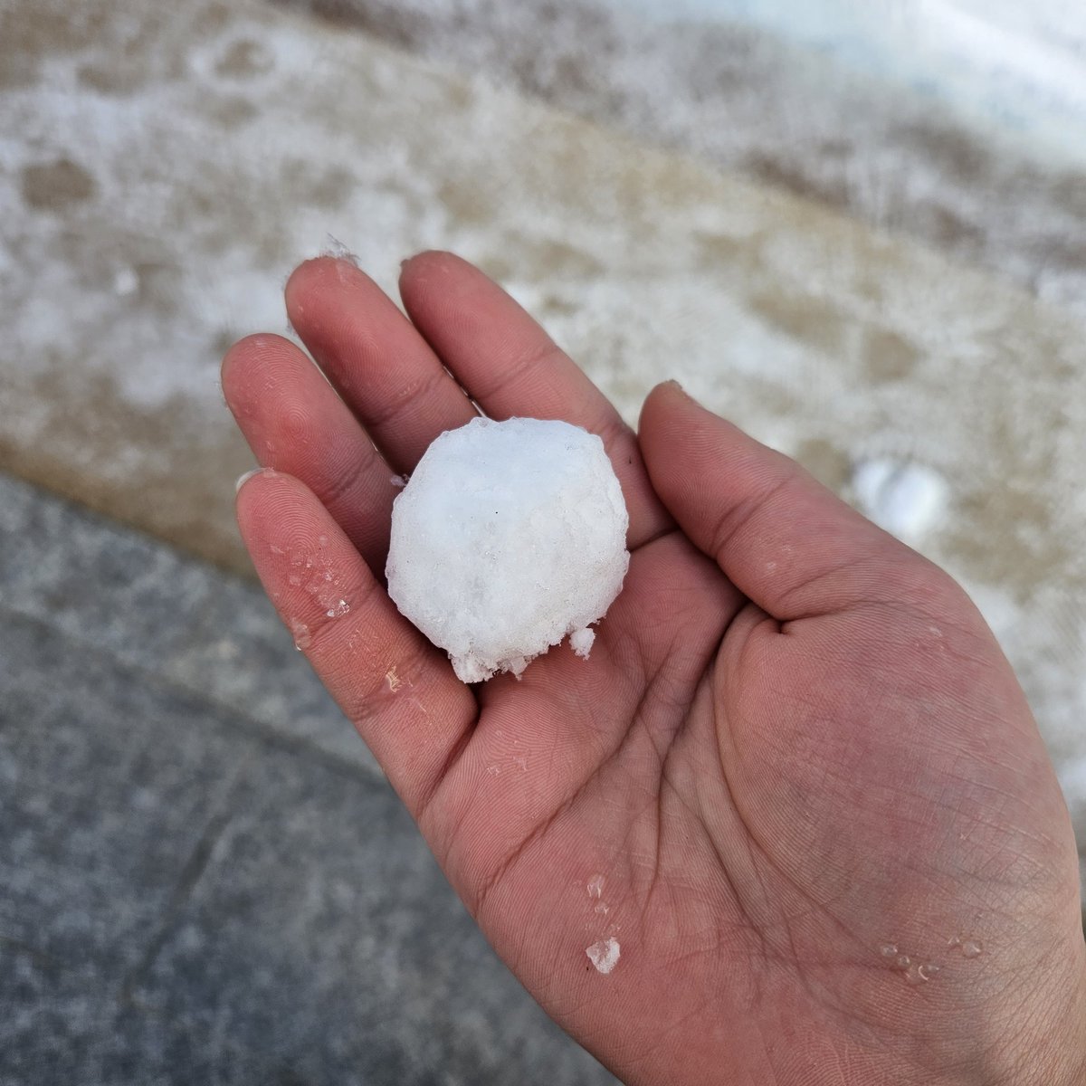 미친 부산에 눈이 쌓였어