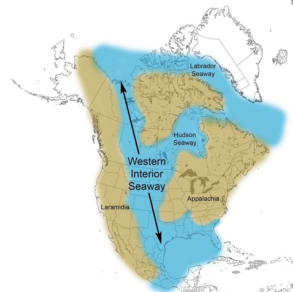 L_M_Shattuck's tweet photo. @IanJaeger29 I'll believe that when I believe that the Western Interior Seaway(Cretaceous Seaway) is making a comeback https://t.co/3sFugPeEGz