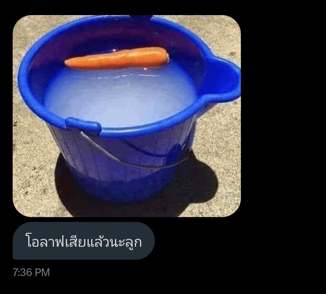 nyoro 💘 tweet media