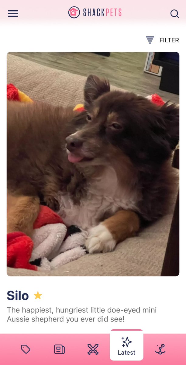 shackpets's tweet photo. Silo stopping by to confirm the weekend. 🐶👅 #weekendconfirmed https://t.co/9HmJP9CDbD
