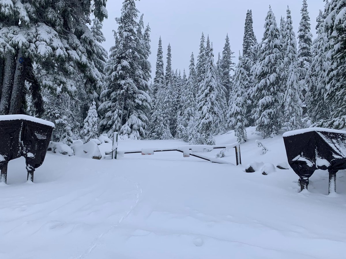 ForestServiceNW's tweet photo. It's that time of year when snow levels drop in elevation, &amp; it can be challenging to predict conditions on forest roads. Forest Service roads are not maintained/plowed for winter conditions. If you encounter 3”+ of snow it’s a good idea to turn around! https://t.co/FIXnhlAxZw