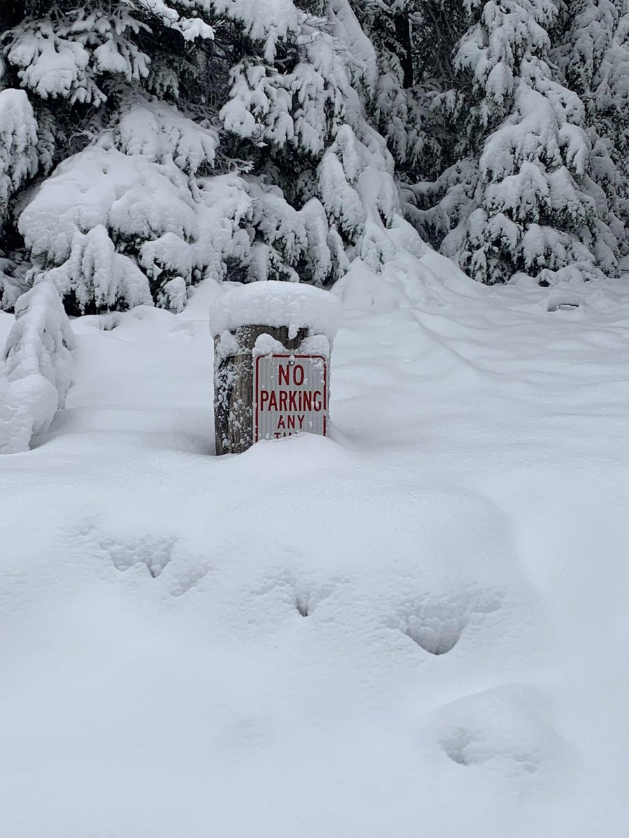 ForestServiceNW's tweet photo. It's that time of year when snow levels drop in elevation, &amp; it can be challenging to predict conditions on forest roads. Forest Service roads are not maintained/plowed for winter conditions. If you encounter 3”+ of snow it’s a good idea to turn around! https://t.co/FIXnhlAxZw