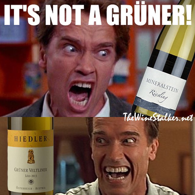 #FlashbackFriday to June 2016 🇦🇹

#gruner #grunerevetliner #wine #winelover #instawine #winetime #drinks