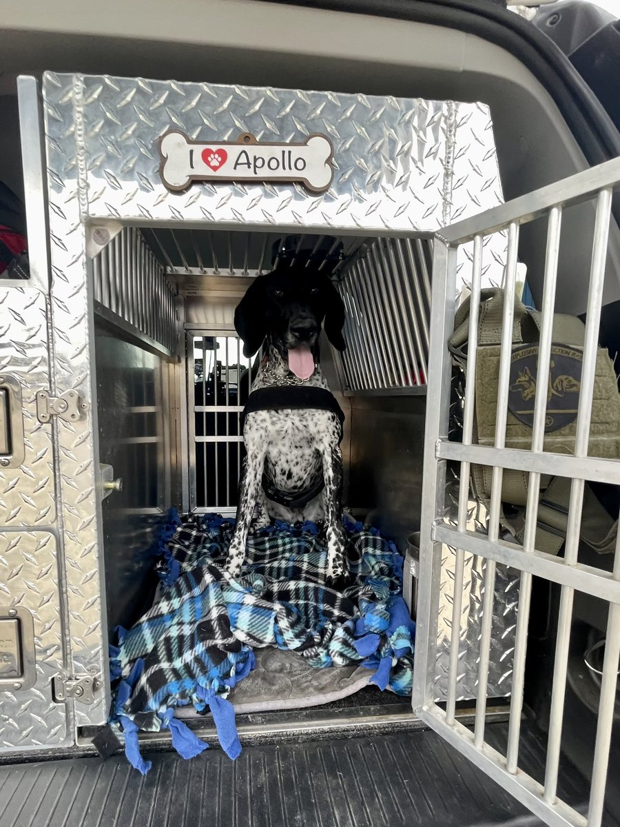 K9Apollo tweet media