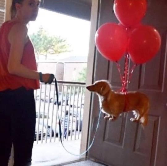 twaniimals's tweet image. 