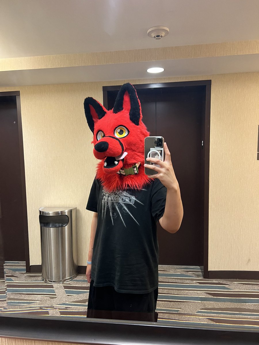 d3moniclycan's tweet photo. #AC23 was one hell of a con :’) @KStonepaw #FursuitFriday https://t.co/80QJwE2D6o