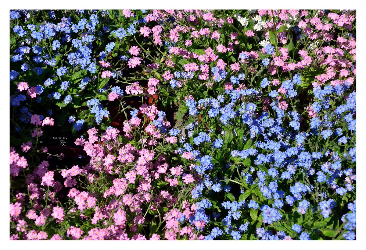 Power of Lights tweet media