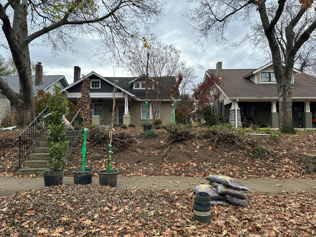 Happy ReLeafing Day everybody! For 21 years NTF has dedicated a single day to plant and celebrate TREES here in our great city! Thank you to all of the volunteers, friends, supporters, and tree-lovers who helped make today's ReLeafing Day a great success!