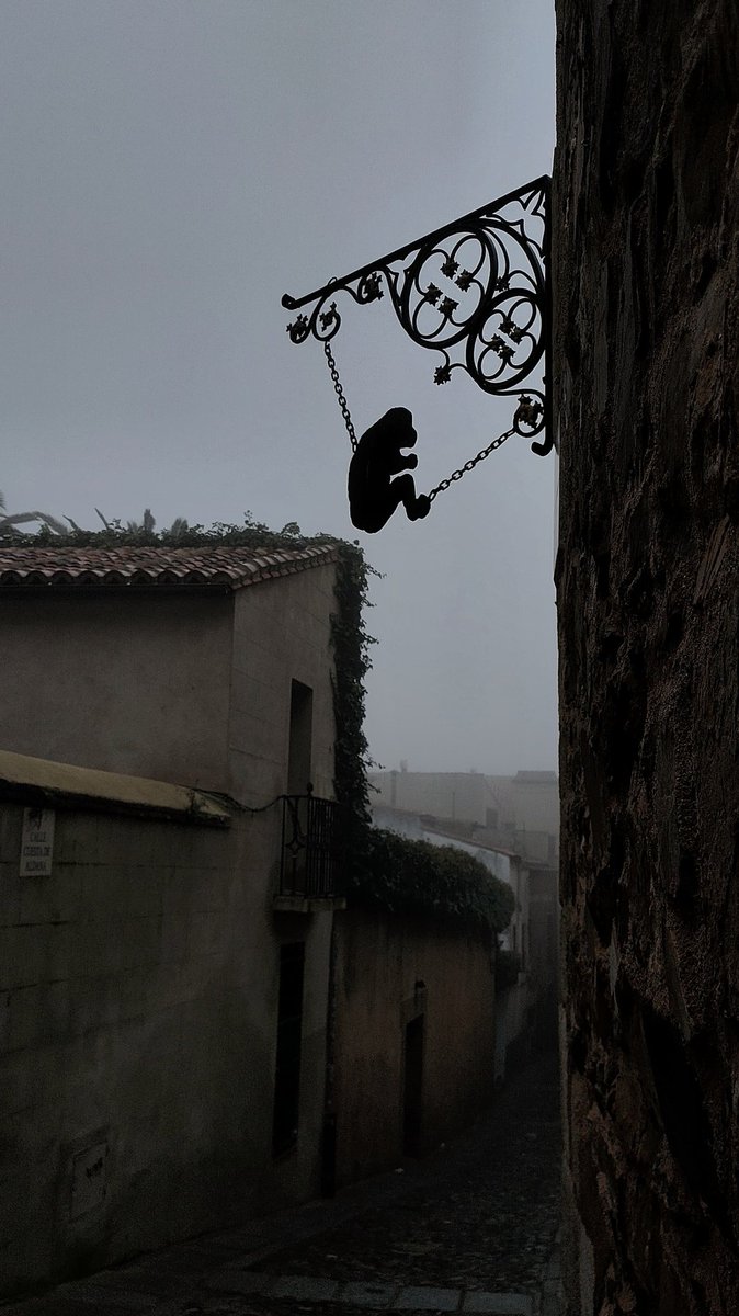 Silvia_6's tweet photo. Hoy la parte antigua de Cáceres ha amanecido especialmente enredada y tenebrosa
✨ https://t.co/oSNdi51xpq