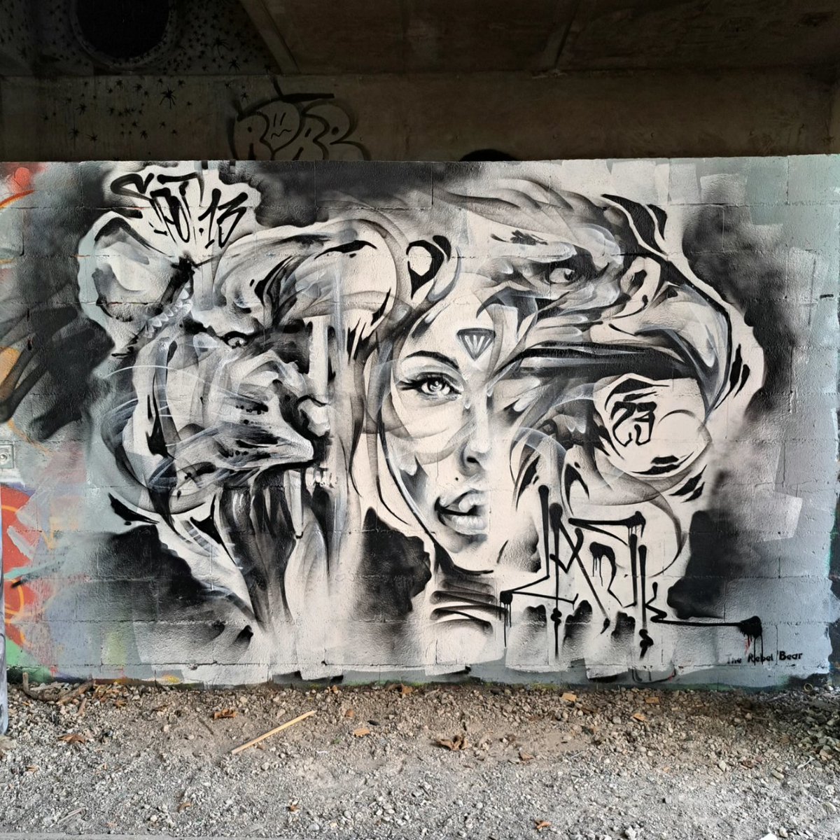 flogallay tweet media