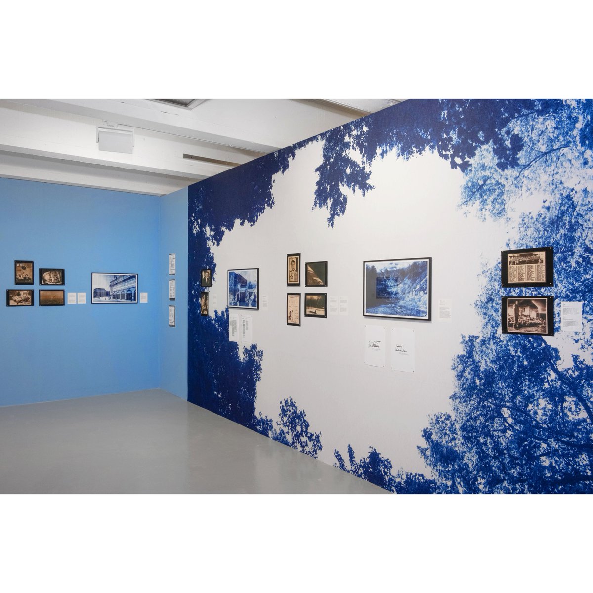 Lewis Bush tweet media