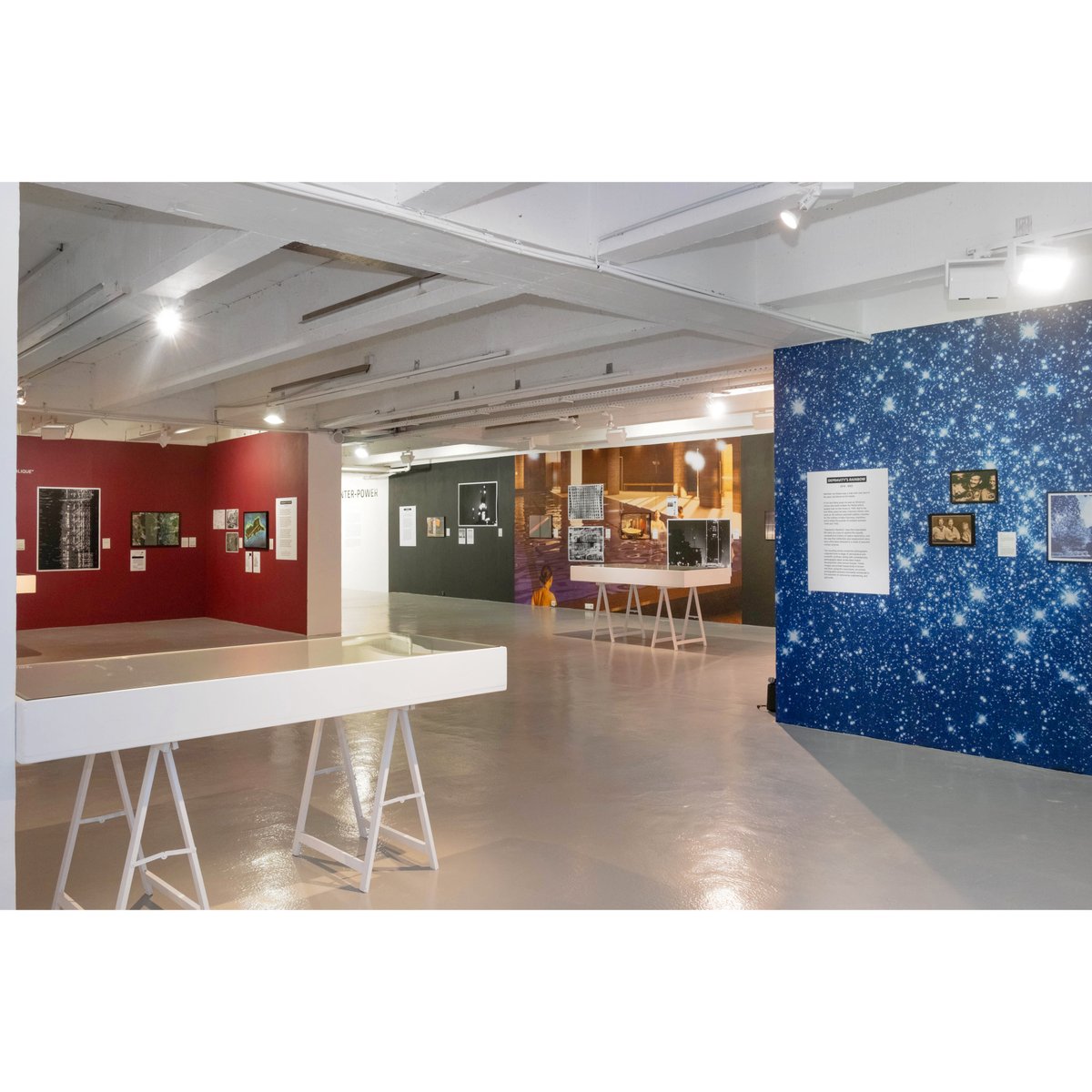 Lewis Bush tweet media