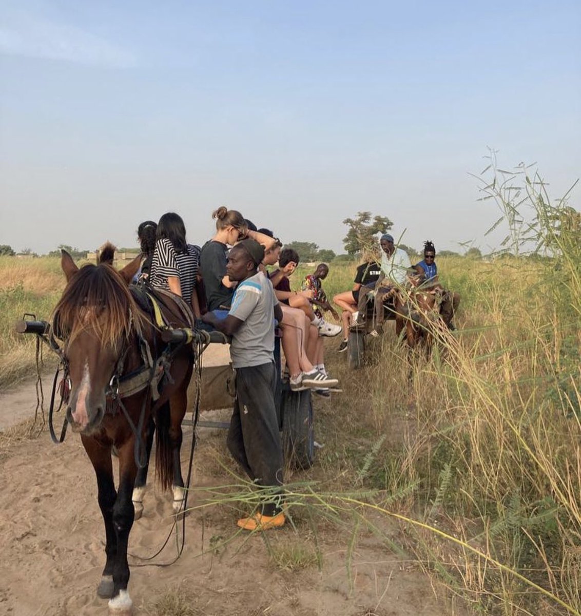 Collège Jacques Ellul tweet media