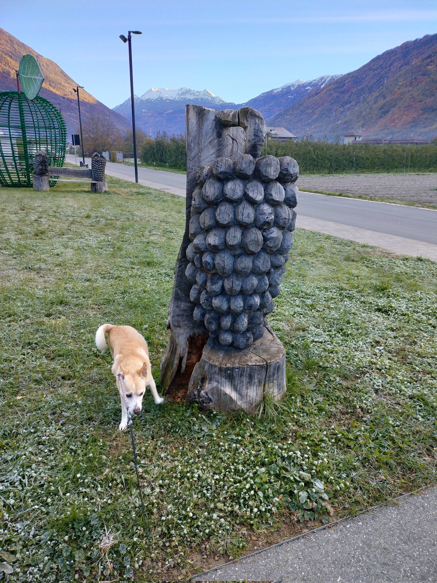 zaafoto's tweet photo. #valtellina https://t.co/ZJP5GgLLaR