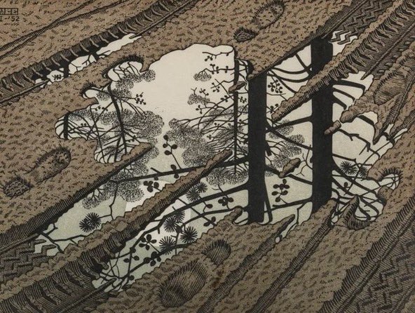 Good Day! Puddle by MC Escher 1952 Woodcut