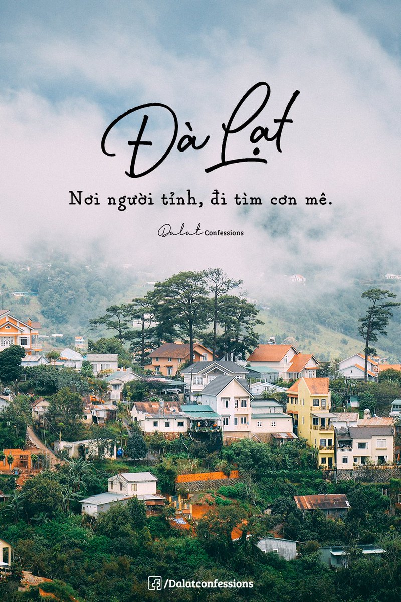 Seventogo777's tweet photo. Series về câu chuyện của Đà Lạt
Mọi người có muốn nghe không ☺️☺️☺️
#Dalat #GhienDaLat #SevenToGo https://t.co/QgFaiR3kgO