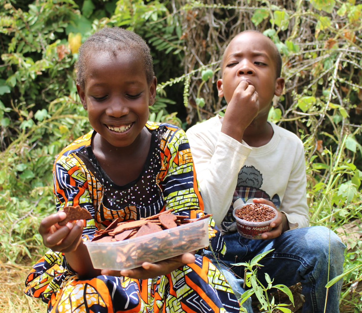 Biscuits de magaria et graines de magaria. Deux manières de se régaler avec le même fruit. 
Aussi appelé darey / Jujube / Ziziphus mauritiana.

Les biscuits disponibles chez Sahara Sahel Foods à Zinder à 1250 F la boîte, et les graines à 750 F.