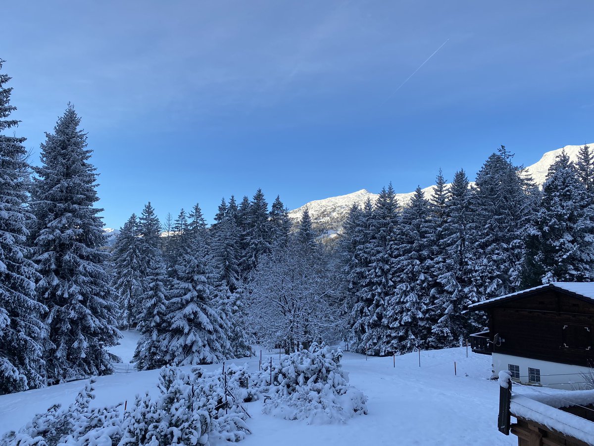 Stefan Hauser tweet media