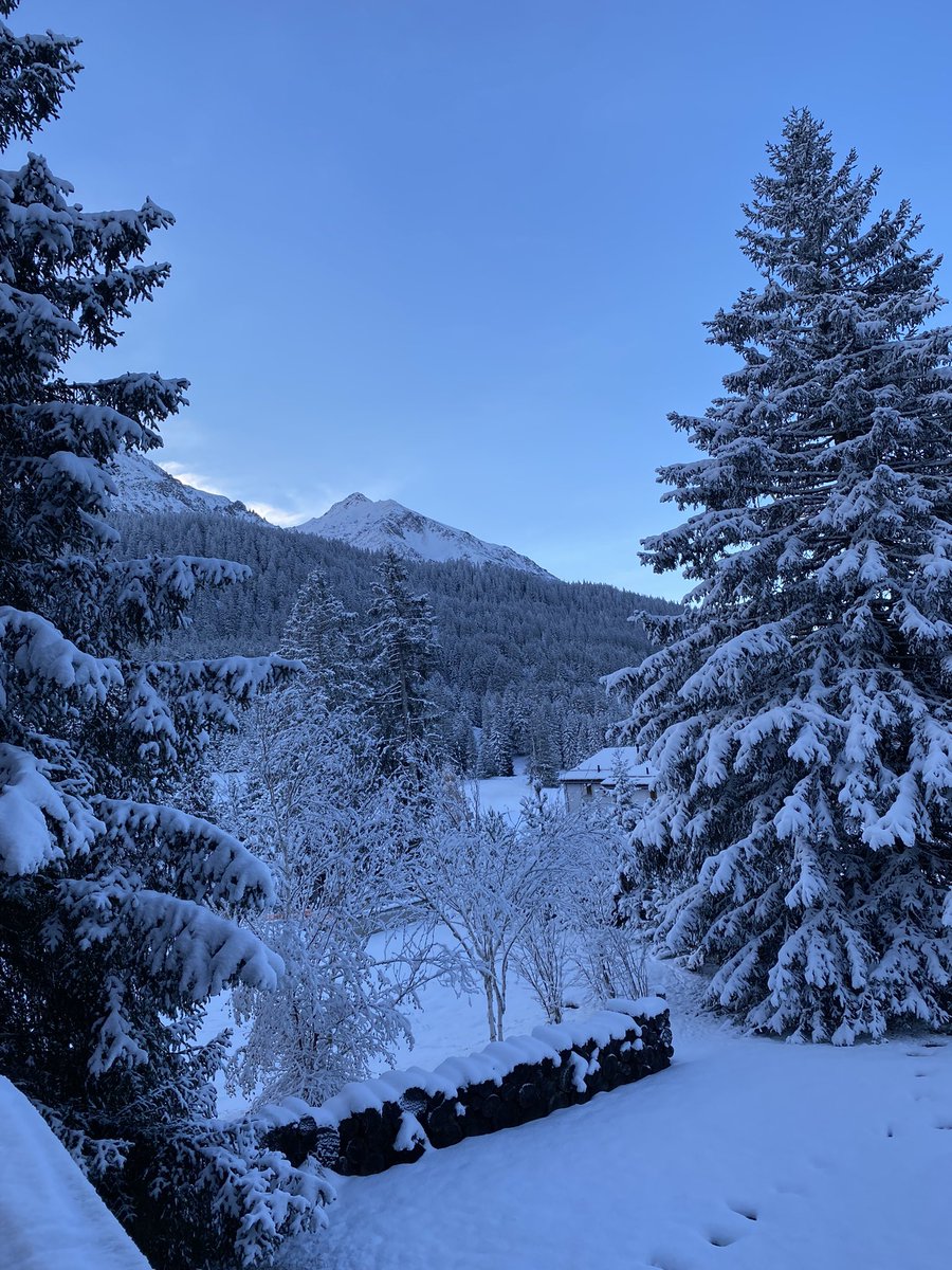 Stefan Hauser tweet media