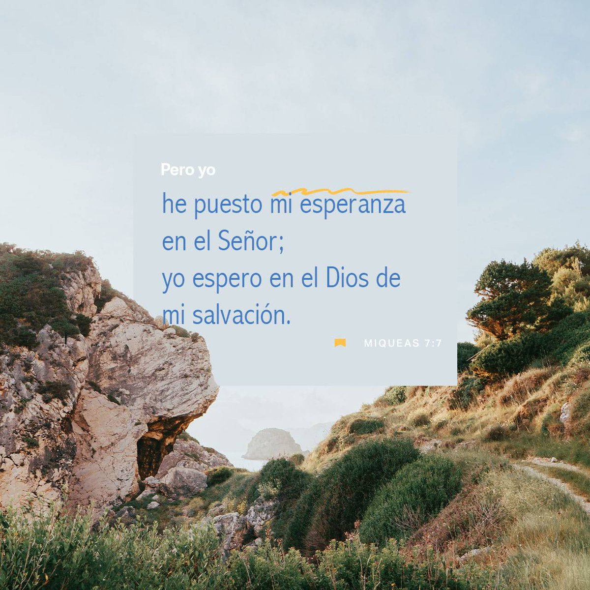 JuaxCastell's tweet photo. Pero yo pongo mi confianza en el Señor, espero en Dios, mi salvador, seguro de que mi Dios me escuchará.

MIQUEAS 7:7 BLP
#BDS https://t.co/IAOhVF17dd