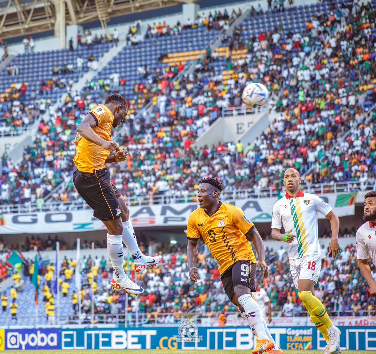 Indimba 4Musiclovers tweet media