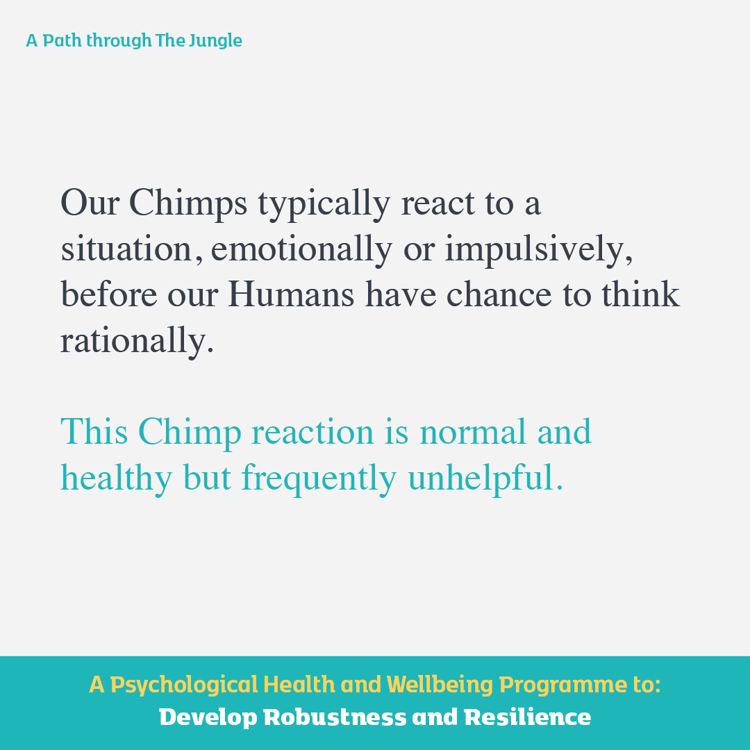 chimpmanagement's tweet photo. Allowing the Chimp to express itself is the most natural way that most people’s minds cope with difficult or stressful situations. They just release whatever emotion they feel. 

A Path through the Jungle

#TheChimpModel #ProfStevePeters https://t.co/daxS6NcS78