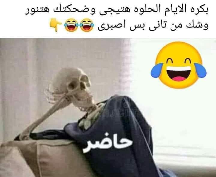 Fa64Ali's tweet image. تفائلوا بالخير تجدوه😊