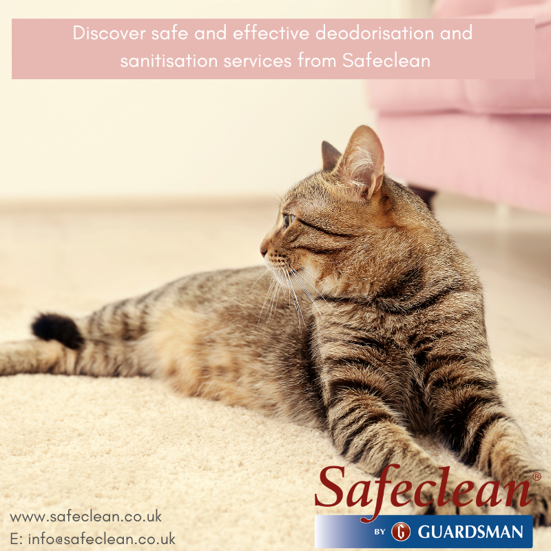 Safeclean_UK's tweet photo. Visit https://t.co/LTWuMvDo30 to find out more about our deodorisation &amp; sanitisation services #Safeclean #Safecleanbyguardsman #Upholstery #Stainremoval #Stain #Clean #Furniture #Sofa #Carpetcleaning #Mattress #Deodorisation https://t.co/5WcBMs0g32