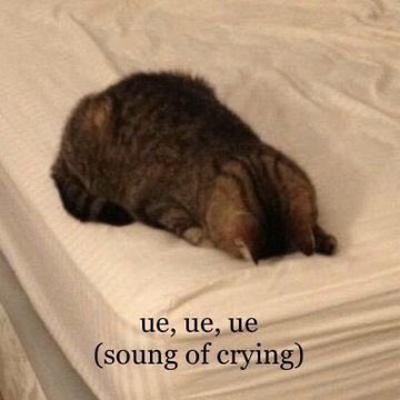 mettavvin's tweet photo. My favorite😞😞 @brnght https://t.co/fYQpepdaNe