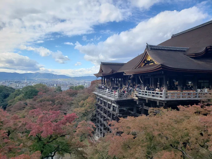 紅葉色付いてて良かった 