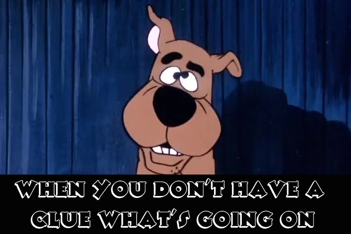 #noclue #ScoobyDoo #noidea when you don't have a scooby doo. 🐕‍🦺