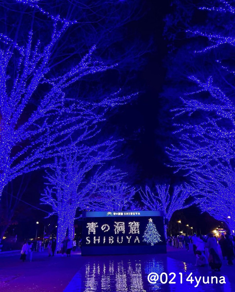 東京夜デート tweet media