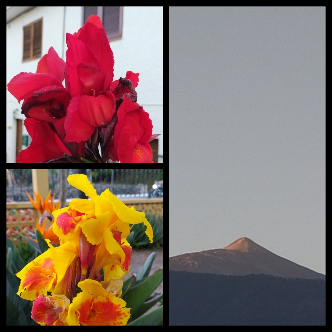 Feliz #sabado amigas/os.