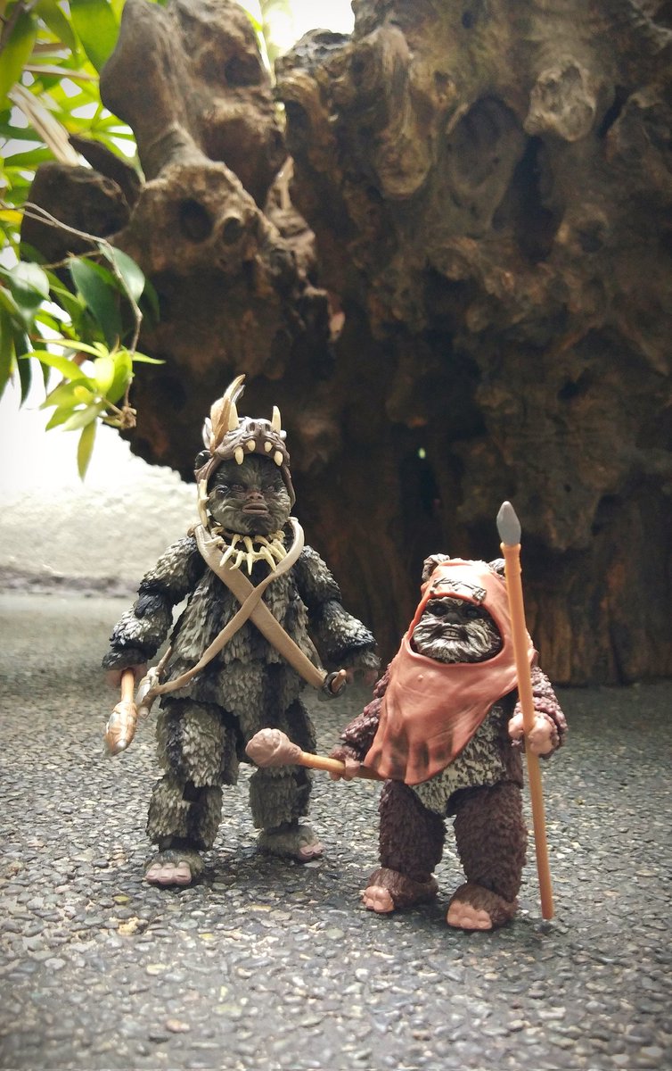 The Black Series ewoks, Teebo the warrior and Wicket. Scaled to six-inch figures and these have awesome sculpt movie realness. I have yet to get myself a Black Series Paploo. ☺ YUB NUB!!! 😀🤘🏼
#Starwars #returnofthejedi #episodesix #endor #forestmoon #creaturefeature #ewoks