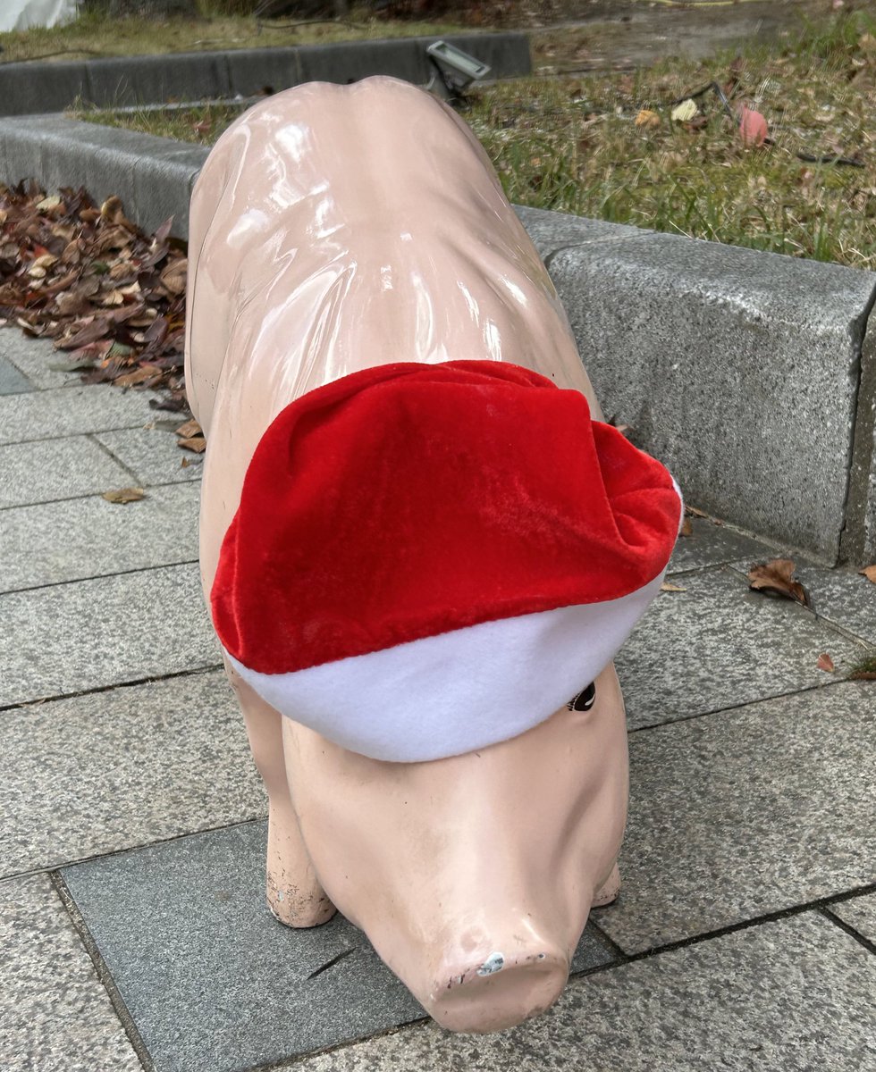 HaRU_C16's tweet photo. ブタやないか！🐖(荒木さんのやつ) https://t.co/pyKKcguuGh