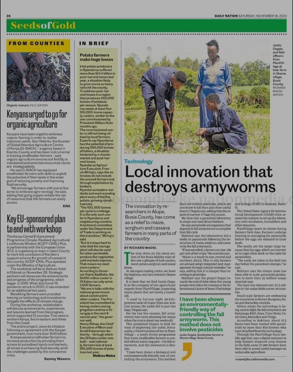 Farmers in Kenya are adopting the use of natural enemies to control fall armyworm. Thanks to the generous support of <a href="/USAID/">USAID</a> through <a href="/CETC_IL/">Current and Emerging Threats to Crops Lab</a> projects.

Check out this feature on the <a href="/dailynation_KE/">Daily Nation Kenya📰</a>