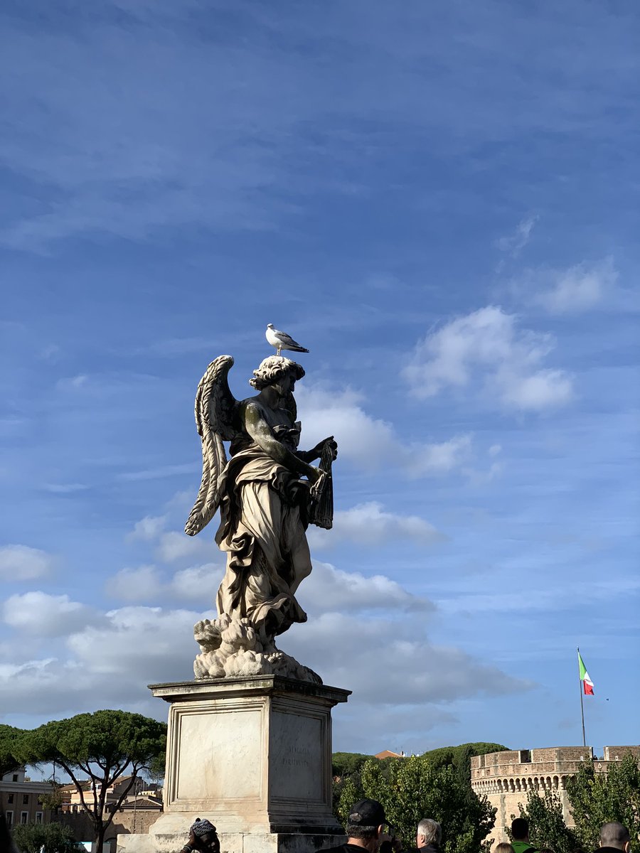 İstendiği kadar korunaklı olsun, bir martı yeter…🤣🤣