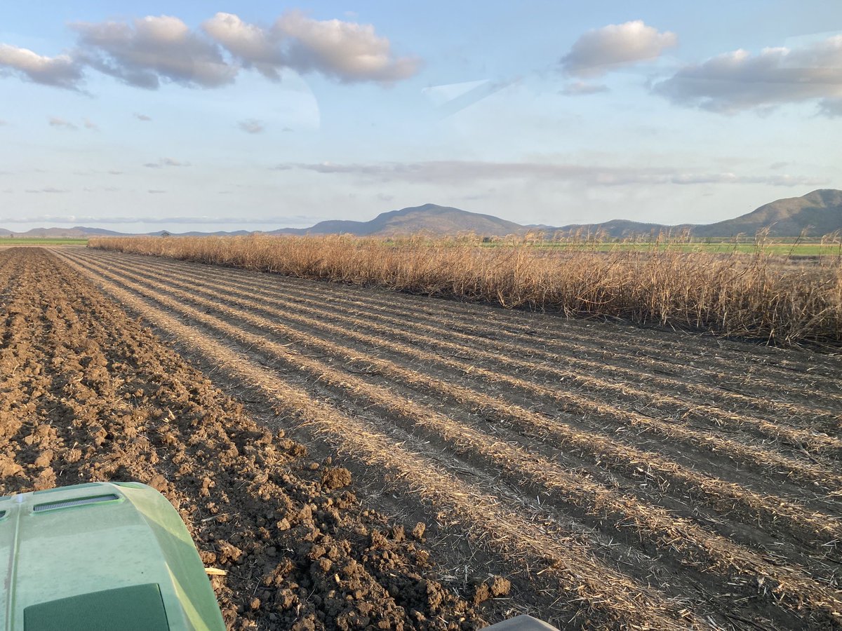 croppingki's tweet photo. There’s only 12 rows left there and instead of finishing a 5+ month harvest on a Satdy arvo we get to wait until tomorrow to say we’re done. Thirst would dictate overflowing every bin you own to finish grain today but sadly not an option here, have to settle for a Sunday session. https://t.co/DjmarhYF82