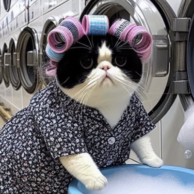 Ruki04's tweet photo. #NuevaFotoDePerfil https://t.co/YvwKhicLkP
