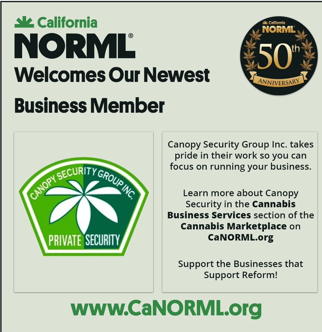 coconorml's tweet photo. via #repost @CaliforniaNORML
For more updates, check out https://t.co/kAaHT9IsSE
#CaliforniaNORML
#CocoNORML
#NORML
#FollowFriday @NORML @coconorml https://t.co/tmPVTETIH2