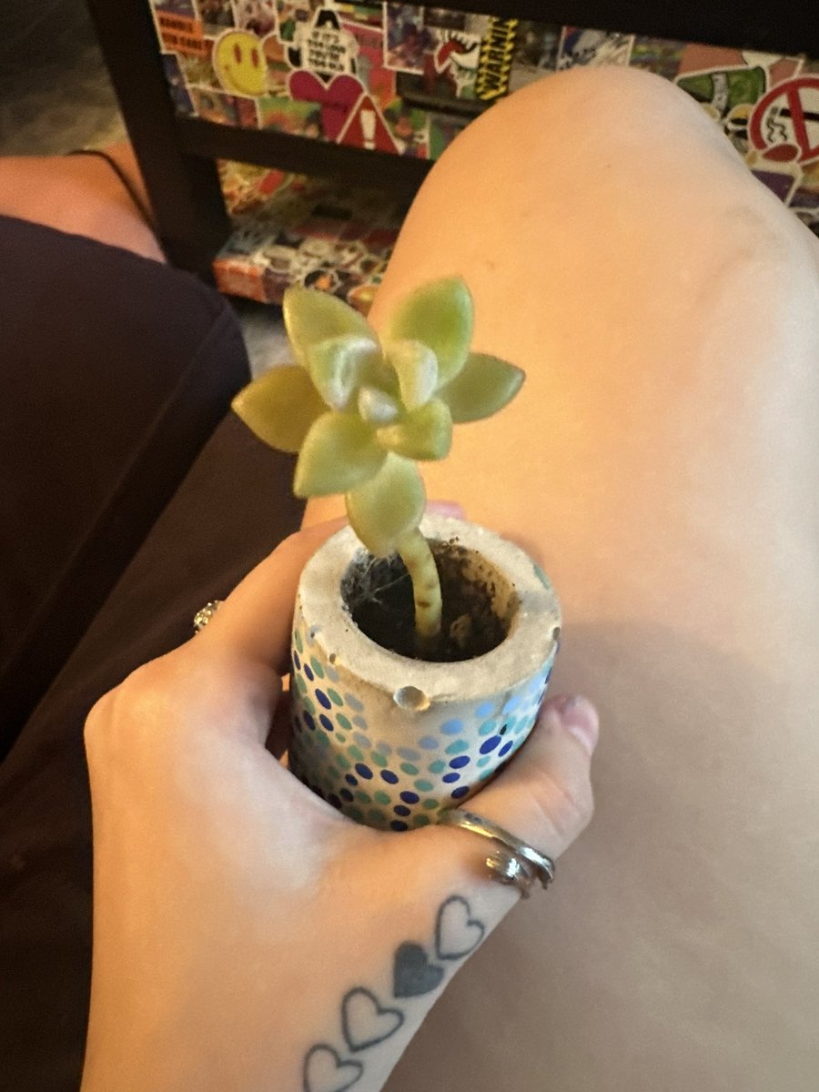 Cora Isabel tweet media