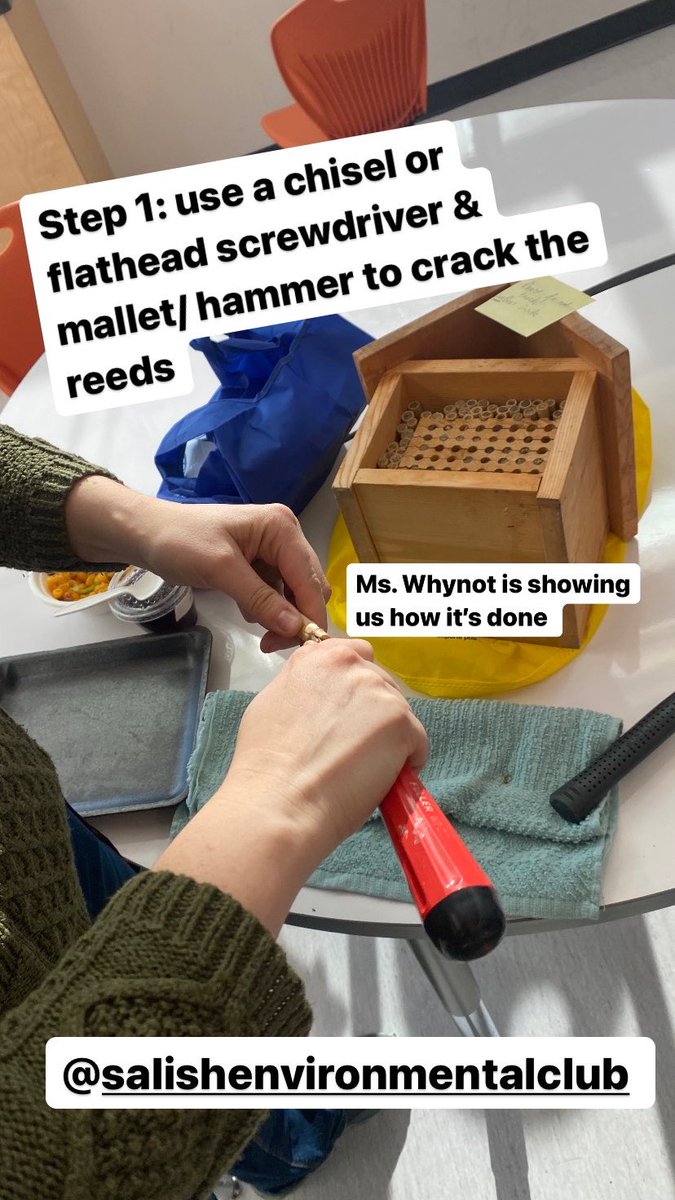 Nicole Jarvis (She/Her/They/Them) tweet media