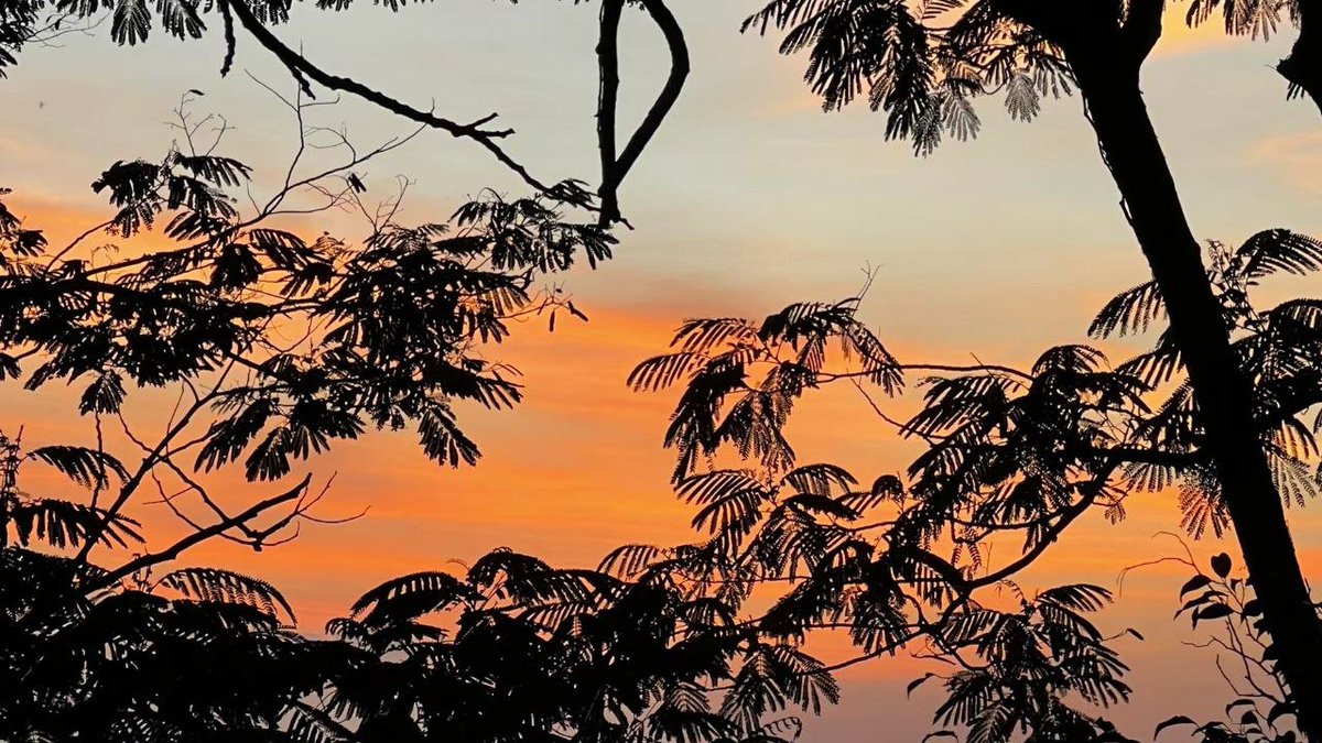 EmmaEpper's tweet image. 