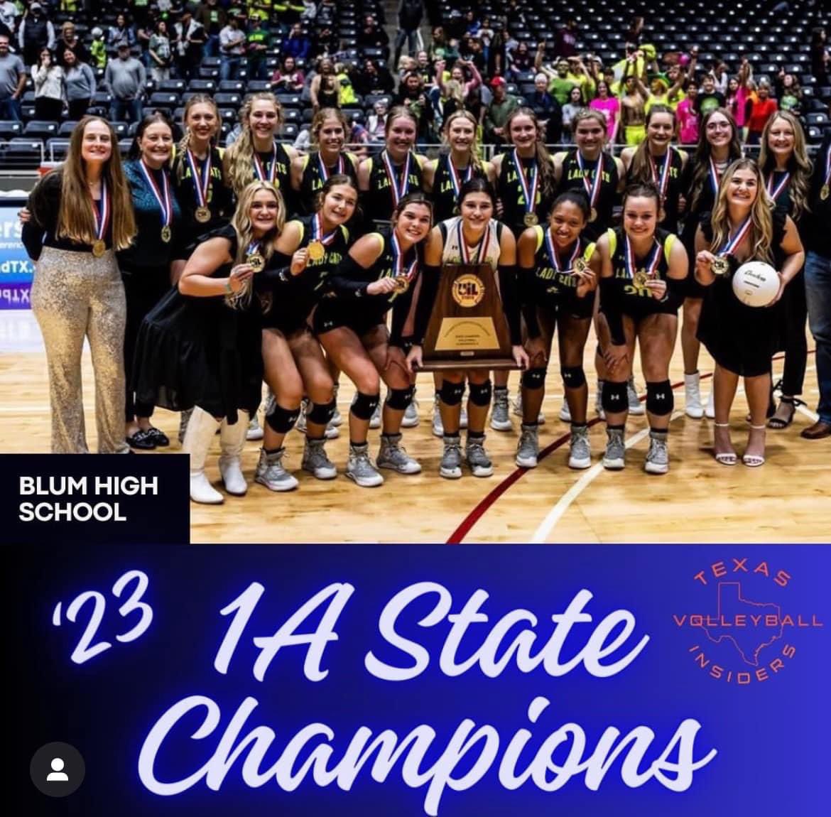 Emma Scott Volleyball tweet media